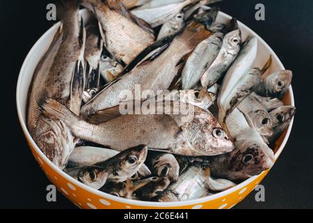 Poisson frais sur fond sombre Banque D'Images