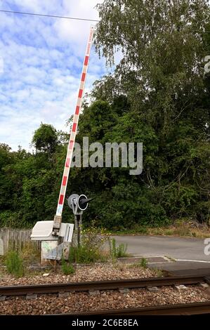 Passage automatique à niveau avec arbres en arrière-plan Banque D'Images