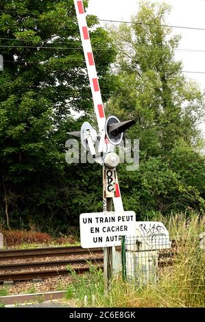 Passage automatique à niveau avec arbres en arrière-plan Banque D'Images