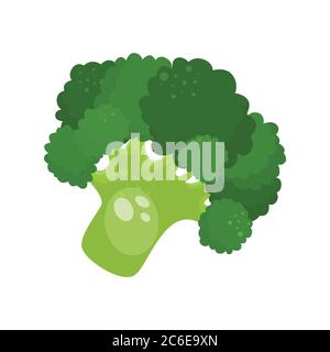 Dessin animé vert biologique frais brocoli icône. Illustration vectorielle. Illustration de Vecteur