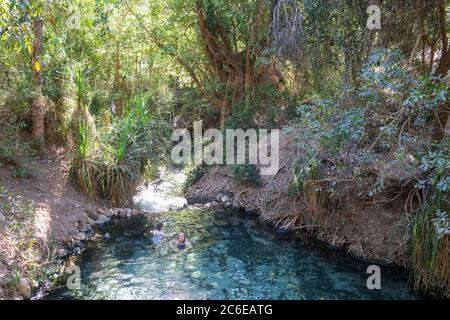 Katherine Hot Springs, dans le territoire du Nord de Katherine, en Australie. Banque D'Images