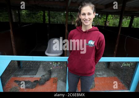 Melanie Croce, directrice exécutive de Seal Rescue Ireland, avec certains de leurs pups de phoque commun secourus dans leurs locaux de Courtown, Co. Wexford. L'organisme caritatif qui sauve, réhabilite et libère des phoques indigènes trouvés malades, blessés ou orphelins de toute la côte irlandaise utilise des combinaisons de plongée ou des « Mammas de combinaison » pour offrir un confort aux petits sauvés. Banque D'Images