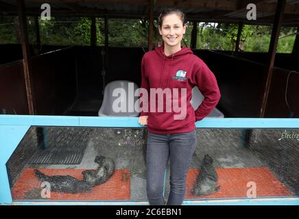 Melanie Croce, directrice exécutive de Seal Rescue Ireland, avec certains de leurs pups de phoque commun secourus dans leurs locaux de Courtown, Co. Wexford. L'organisme caritatif qui sauve, réhabilite et libère des phoques indigènes trouvés malades, blessés ou orphelins de toute la côte irlandaise utilise des combinaisons de plongée ou des « Mammas de combinaison » pour offrir un confort aux petits sauvés. Banque D'Images