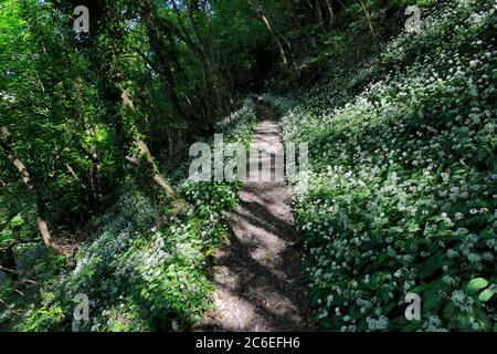 Les amoureux des promenades, Matlock Bath ville, rivière Derwent, Peak District National Park, Derbyshire Dales, Angleterre, Royaume-Uni Banque D'Images