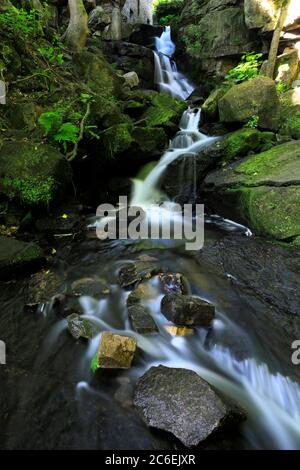 Vue estivale sur les chutes de Lumsdale, Bentley Brook, près de la ville de Matlock, parc national de Peak District, Derbyshire Dales, Angleterre, Royaume-Uni Banque D'Images