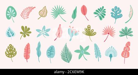 Ensemble de motifs feuilles vectorielles. Clip à motif feuilles tropicales mignon. Éléments d'illustration de la nature. Illustration de Vecteur
