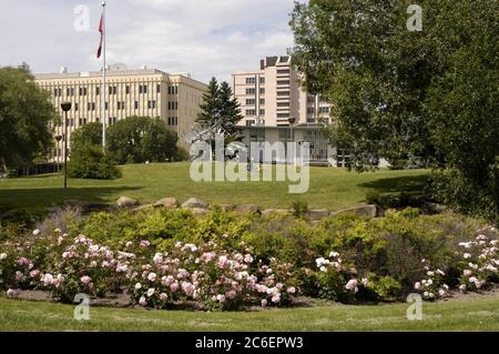 Calgary, Alberta CANADA, 27 juillet 2005 : aménagement paysager et bâtiments à l'Université de Calgary, Alberta. Le campus compte environ 28 000 étudiants de premier cycle. ©Bob Daemmrich Banque D'Images