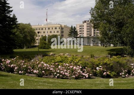 Calgary, Alberta CANADA, 27 juillet 2005 : aménagement paysager et bâtiments à l'Université de Calgary, Alberta. Le campus compte environ 28 000 étudiants de premier cycle. ©Bob Daemmrich Banque D'Images