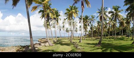 Plage tropicale et île de l'océan à Samana, République dominicaine. Banque D'Images