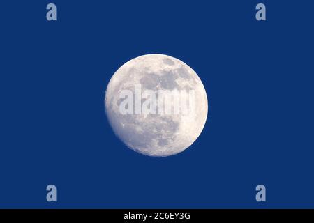 Pleine lune (97 %) pendant la journée (à l'heure du coucher du soleil environ), vue par un télescope de réfracteur ED-APO de 80 mm en focale fixe. Le fond a été averag Banque D'Images