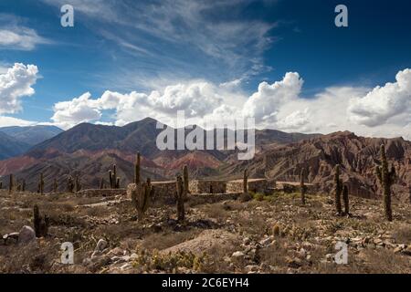 Pucará de Tilcara, vestiges d'une ville préhispanique au sommet d'une colline, près de Tilcara dans la province de Jujuy, en Argentine Banque D'Images