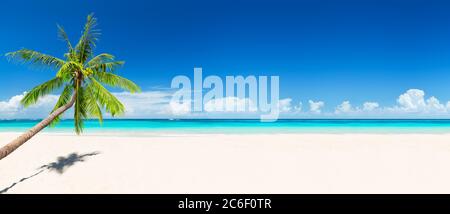 Palmiers à noix de coco contre le ciel bleu et belle plage à Punta Cana, République dominicaine. Fond d'écran des vacances. Vue sur le joli tropique Banque D'Images