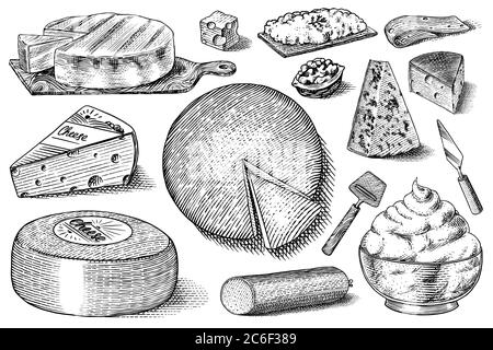 Ensemble de fromages. Tranches de Mascarpone Bleu de Gex Edam Camembert Mozzarella pour le marché ou l'épicerie. Cheesboard et lait frais bio. Vecteur Illustration de Vecteur