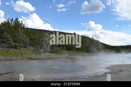 Fin du printemps dans le parc national de Yellowstone : bulles et vapeur de la source du dragon vert dans la zone du bassin arrière du bassin de Norris Geyser Banque D'Images