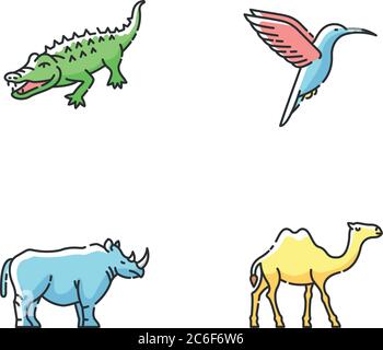 Jeu d'icônes de couleurs RVB animaux exotiques. Faune tropicale, faune africaine diversifiée. Petit colibri, chameau, alligator et rhinocéros. Vecteur isolé Ill Illustration de Vecteur