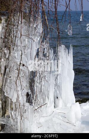 Les icicles des branches d'arbres au bord du lac en hiver extrêmement froid Banque D'Images