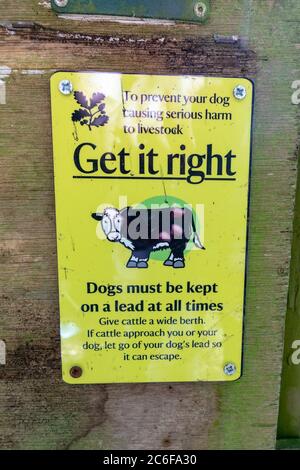 « Get IT Right », un panneau demandant aux randonneurs de garder leurs chiens en tête dans une zone avec du bétail, Royaume-Uni. Banque D'Images