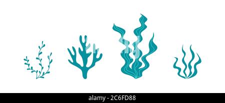 Collecte d'algues isolées sur fond blanc. Silhouettes de plantes sous-marines. Illustration vectorielle. Illustration de Vecteur