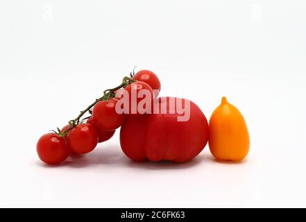 Plusieurs tomates mûres rouges et jaunes sur un fond clair. Produit naturel. Couleur naturelle. Gros plan. Banque D'Images