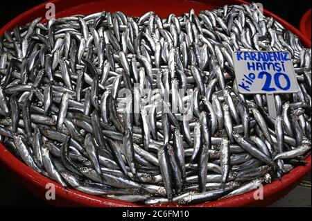 Poissons anchois - hamsi turc sur le marché du poisson. Banque D'Images