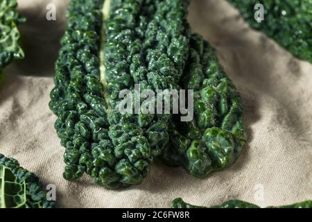 Vert cru biologique dinosaure kale toscan dans un bouquet Banque D'Images