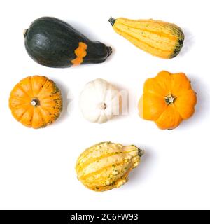 Mini citrouilles décoratives isolées sur fond blanc, vue de dessus Banque D'Images