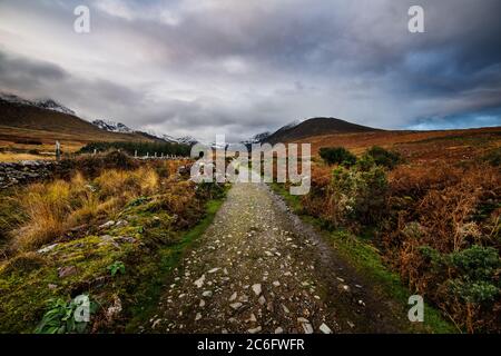 Sentier de randonnée avec la chaîne de montagnes des ruisseaux de MacGillycuddy en arrière-plan, Kerry, Irlande Banque D'Images