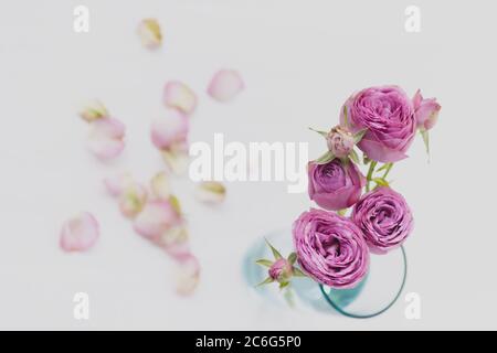 Vase en verre avec roses roses vue de dessus, sur un fond flou de maçonnerie rose. Banque D'Images