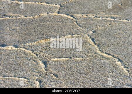 Croûte de sel sur le lac de sel d'Assale, lac Assale, à plus de 100 m sous le niveau de la mer, Hamadela, dépression de Danakil, triangle d'Afar, Éthiopie Banque D'Images
