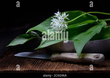 Feuilles d'ail sauvage et fleur dans un bol et un couteau de cuisine, Allemagne Banque D'Images