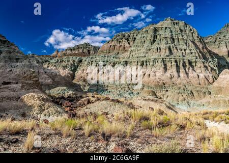 Bassin Bleu, John Day Fossil jumeaux National Monument, Oregon, USA Banque D'Images