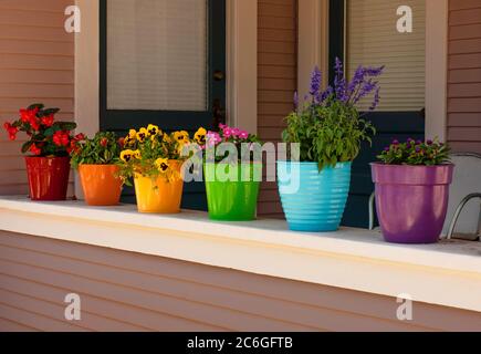 Pots de fleurs et fleurs de toutes les couleurs alignés en rangée sur une étagère de porche ou un rebord de fenêtre devant une maison. Banque D'Images