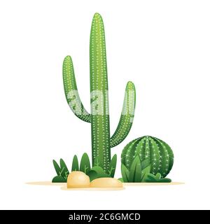 Cactus et pierres isolées sur blanc. Illustration vectorielle. Illustration de Vecteur