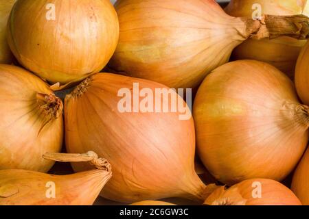 Photo plein format d'oignons jaunes. Gros plan. Arrière-plan Banque D'Images