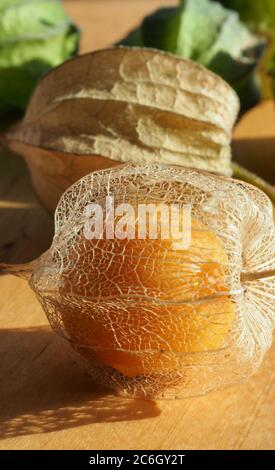 Trois étapes du fruit comestible de la baie de la cape (Physalis peruviana) Banque D'Images