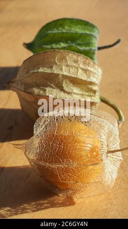 Trois étapes du fruit comestible de la baie de la cape (Physalis peruviana) Banque D'Images