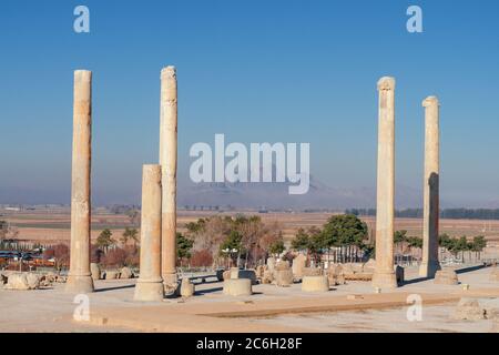 Le palais d'Apadana est le plus grand palais construit sur le côté ouest de Persepolis par Darius le Grand. Le hall avait initialement 72 colonnes, 19 mètres de haut Banque D'Images