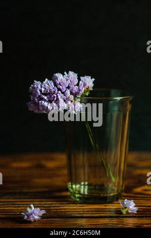 Encore la vie avec des fleurs lilas dans UN verre sur fond sombre Banque D'Images