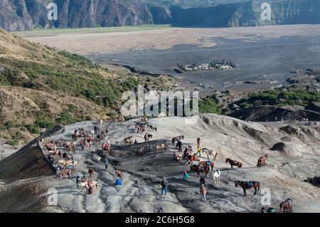 Région avec des chevaux pour les touristes à monter jusqu'au Mont Bromo avec temple et la mer de sable en arrière-plan, Parc national de Bromo Tengger Semeru, Java est, Indo Banque D'Images