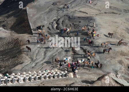 Région avec des chevaux pour les touristes à monter jusqu'au Mont Bromo, Parc national de Bromo Tengger Semeru, Java est, Indonésie Banque D'Images