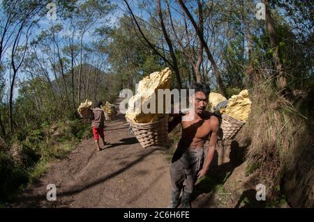 Homme local transportant des blocs de soufre dans des paniers en descendant du cratère, Mont Ijen, Java-est, Indonésie Banque D'Images