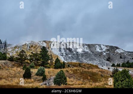 Le Parc National de Yellowstone dans le Wyoming Banque D'Images