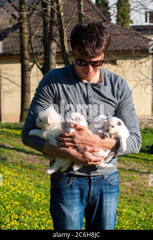 Gros plan d'un jeune homme tenant son meilleur ami et un joli chien Husky de chiot mignon. Relations amicales Banque D'Images
