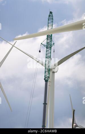 Larkhall, Écosse, Royaume-Uni. 10 juillet 2020. Photo : une énorme éolienne mesure quelques centaines de pieds avec une grue industrielle massive avec une barre d'extension à l'extrémité pour donner des supports de hauteur supplémentaires à côté de l'éolienne maintenant la structure de l'aube en place. L'énergie verte est une grande affaire, et si le Royaume-Uni doit archiver ses objectifs en matière d'énergie renouvelable, il faut construire davantage d'éoliennes à terre et en mer. Crédit : Colin Fisher/Alay Live News Banque D'Images