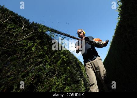 Alex McCann, de Busters Countryside Management, tond les haies de la brume de Stansted, qui est fermée au public en raison de mesures sociales de distanciation, dans le jardin clos inférieur à Stansted Park, à Stoughton, dans l'ouest du Sussex. Le labyrinthe circulaire dans les jardins la maison majestueuse classée Grade II à Stansted Park, où d'autres parties du terrain ont maintenant rouvert au public, contient plus de 500 arbres à coudre et environ un kilomètre de couverture. Banque D'Images