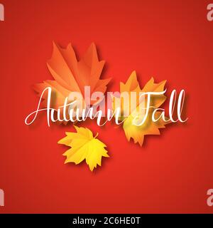 Typographique de l'automne. Feuille d'automne. Illustration vecteur EPS 10 Illustration de Vecteur