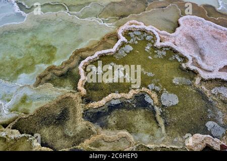 Bandes colorées de bactéries thermophiles dans le parc national de Yellowstone Banque D'Images