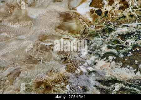 Bandes colorées de bactéries thermophiles dans le parc national de Yellowstone Banque D'Images