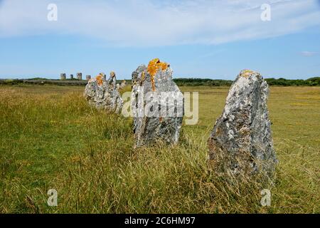 Menhirs de pierres de Lagatjar près de Camaret-sur-Mer en Bretagne France Banque D'Images