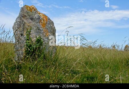 Menhirs de pierres de Lagatjar près de Camaret-sur-Mer en Bretagne France Banque D'Images